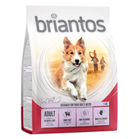 Briantos Adult - Somon si orez - 1 kg