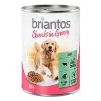 Briantos Adult Chunks - Miel si morcovi - 415 g