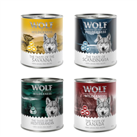 Wolf of Wilderness Adult Mix - 24 x 800 g