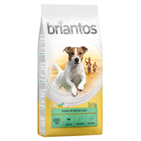 Briantos Adult Mini - Miel si orez - 14 kg