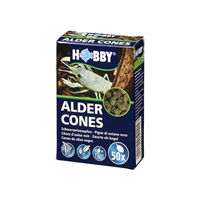 Hobby - Conuri de arin