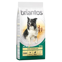 Briantos Senior - Pasare si orez - 14 kg