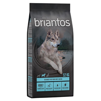 Briantos Adult - Somon si cartofi - 12 kg