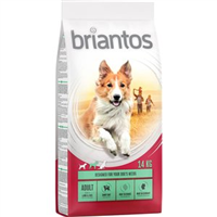 Briantos Adult - Miel si orez - 14 kg
