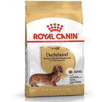 Royal Canin Dachshund (Teckel) Adult - 1,5 kg