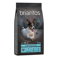 Briantos Adult Mini - Somon si cartofi - 12 kg