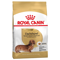 Royal Canin Dachshund (Teckel) Adult - 7,5 kg