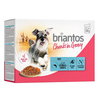 Briantos Adult Chunks - Somon si morcovi - 100 g