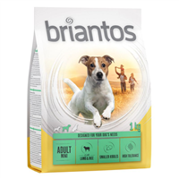 Briantos Adult Mini - Miel si orez - 1 kg