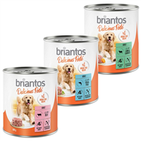 Briantos Adult Delicious Pate Mix - 24 x 800 g