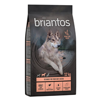 Briantos Adult Light/Sterilised - Curcan si cartofi - 12 kg